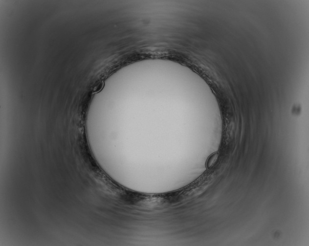 X0000101990609200808081637