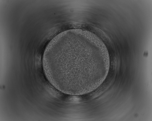 X0000101990610200808081637