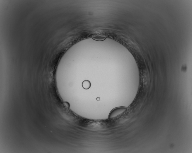 X0000101990611200808081637