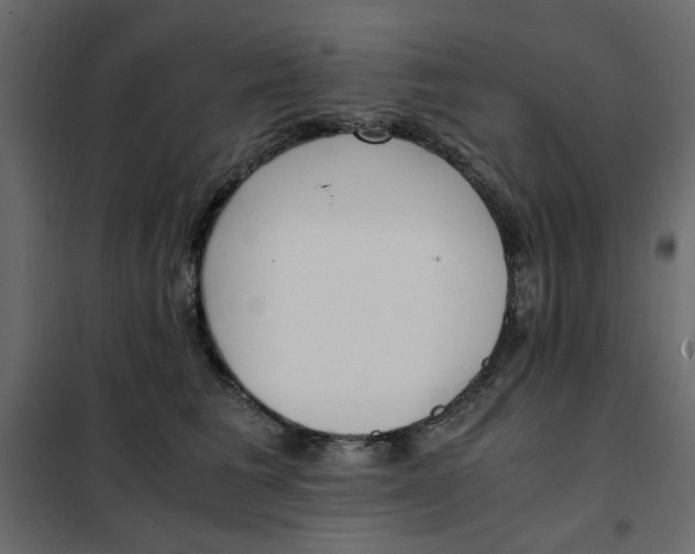 X0000101990613200808081637