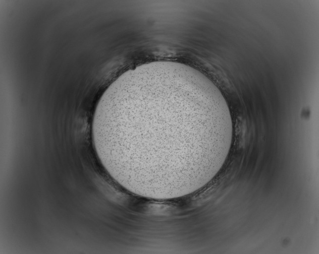 X0000101990614200808081637