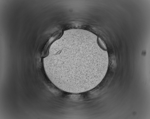 X0000101990615200808081637