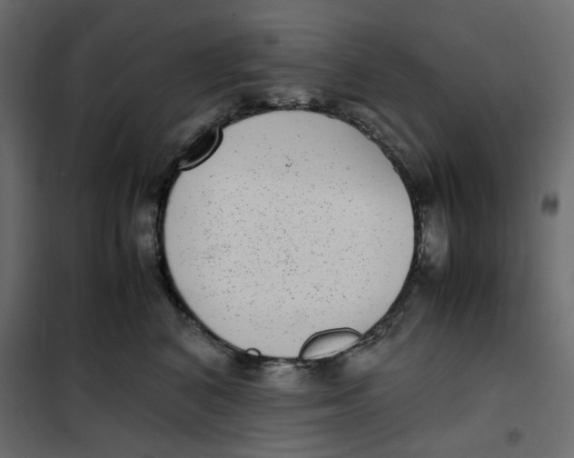 X0000101990616200808081637