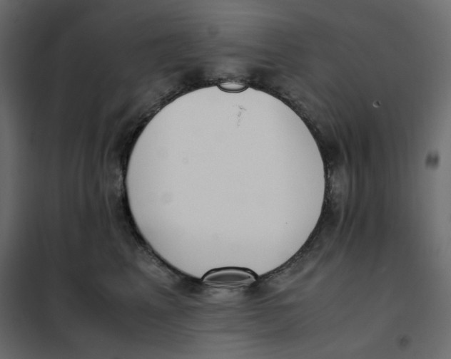 X0000101990617200808081637