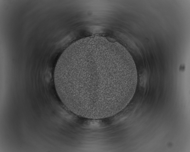 X0000101990618200808081637