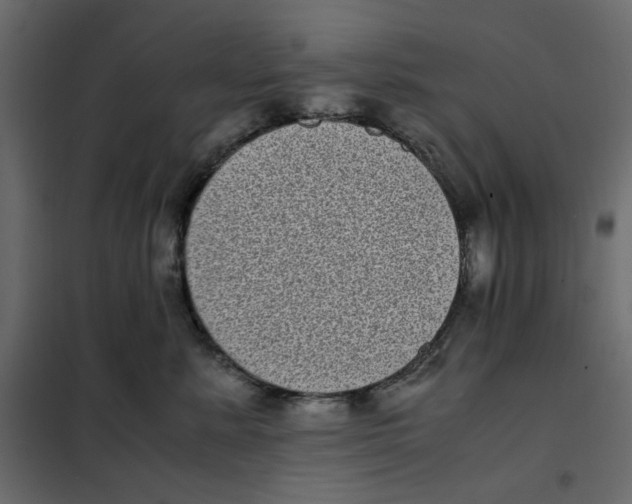 X0000101990619200808081637