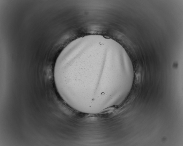 X0000101990620200808081637