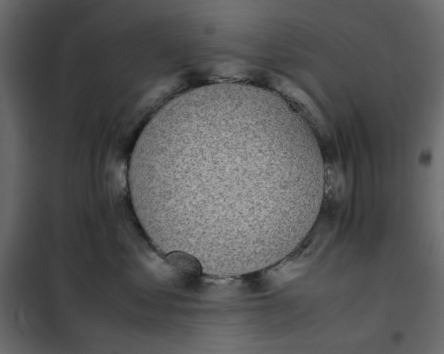 X0000101990621200808081637