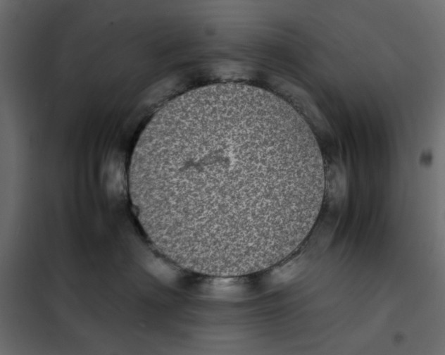 X0000101990622200808081637