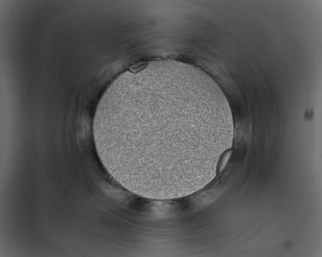 X0000101990623200808081637