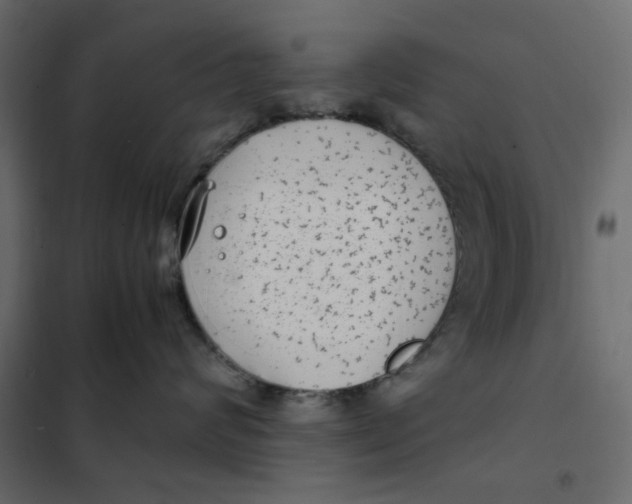 X0000101990624200808081637