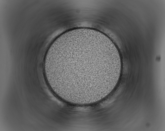 X0000101990625200808081636