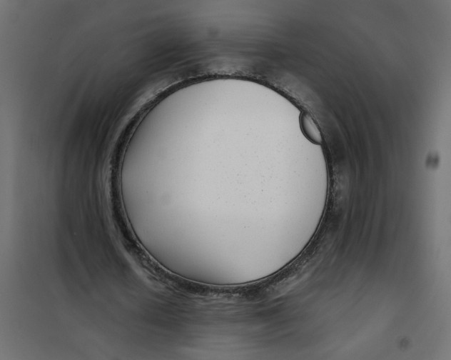 X0000101990626200808081636