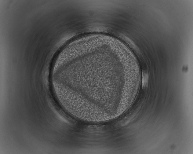 X0000101990627200808081636