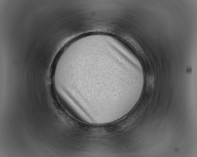 X0000101990628200808081636