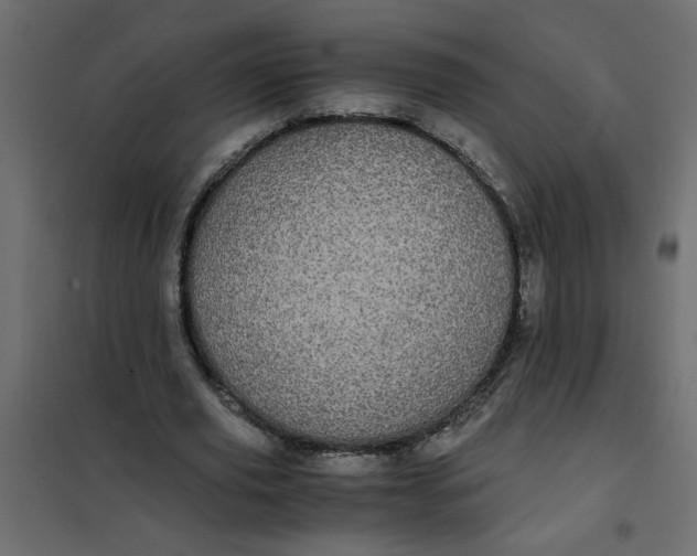 X0000101990629200808081636