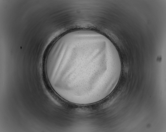 X0000101990630200808081636