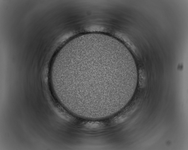 X0000101990631200808081636