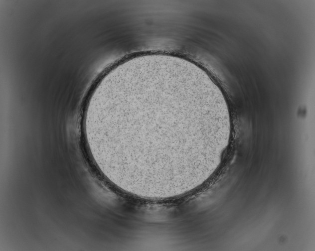 X0000101990632200808081636