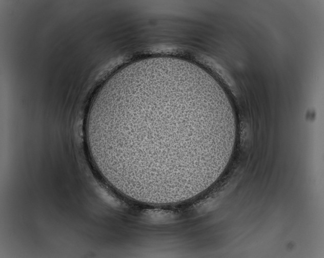 X0000101990633200808081636