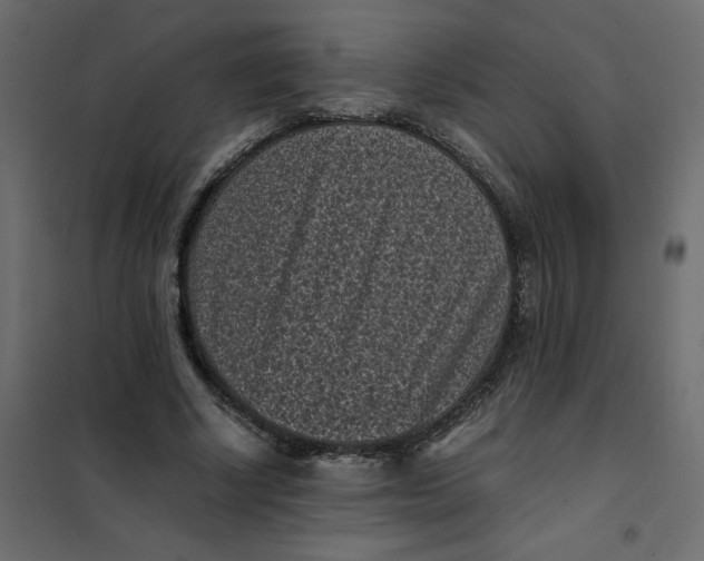 X0000101990634200808081636