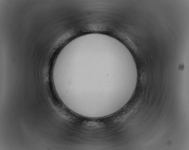 X0000101990635200808081636