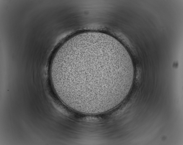 X0000101990636200808081636