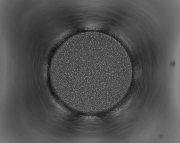 X0000101990637200808081636