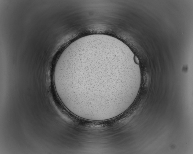 X0000101990638200808081636