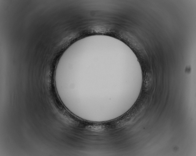 X0000101990639200808081636