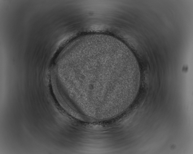 X0000101990640200808081636