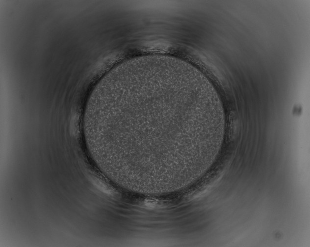 X0000101990641200808081636