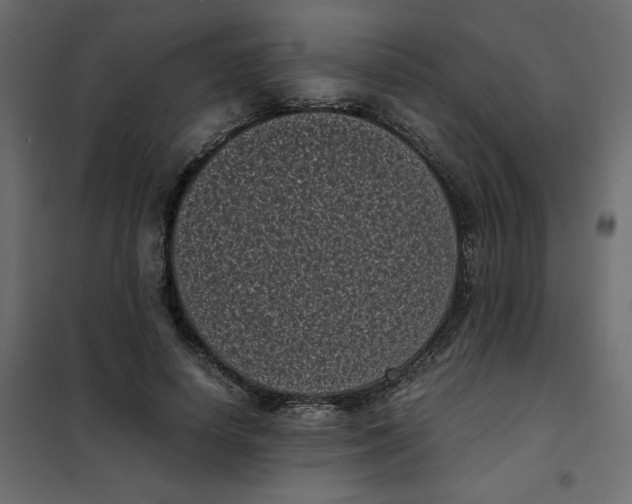 X0000101990642200808081636