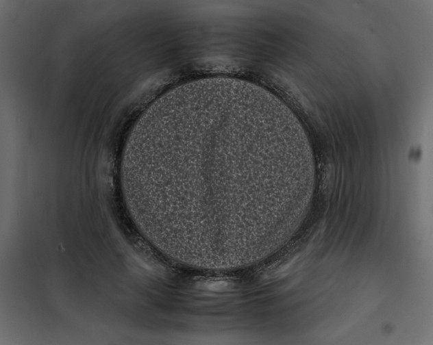 X0000101990643200808081636