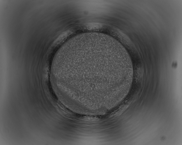 X0000101990644200808081636