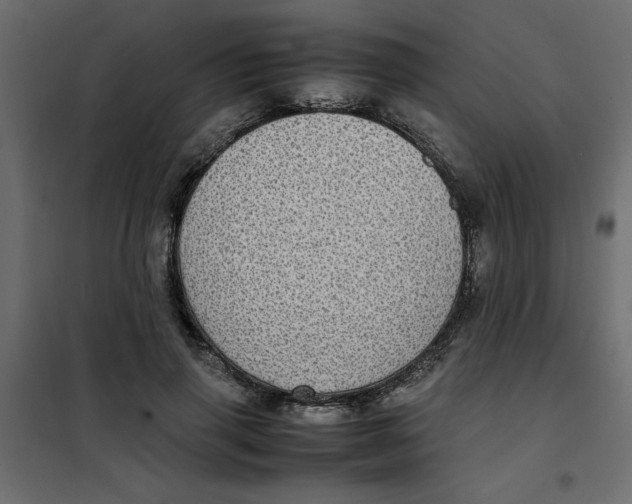 X0000101990645200808081636