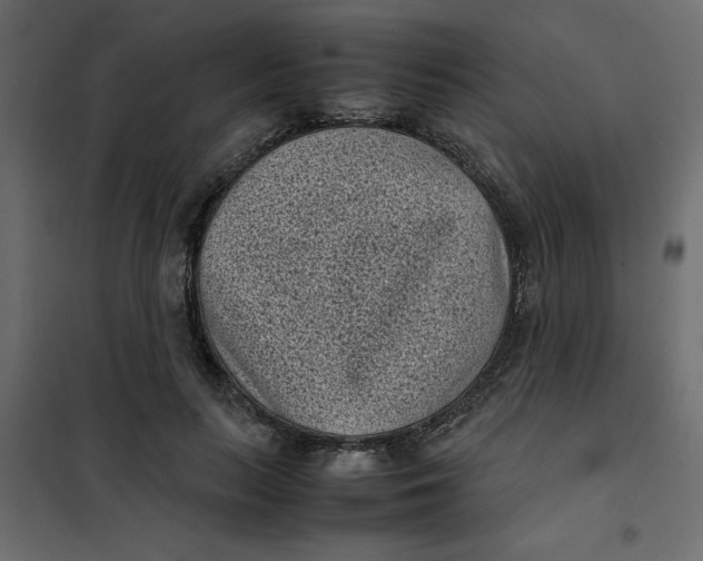 X0000101990647200808081636