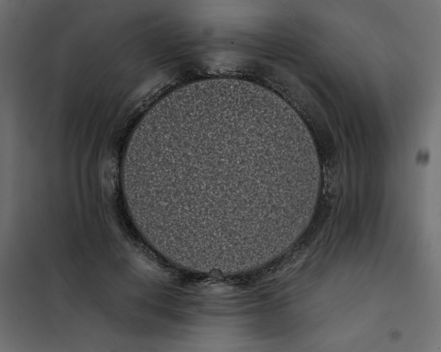 X0000101990648200808081636