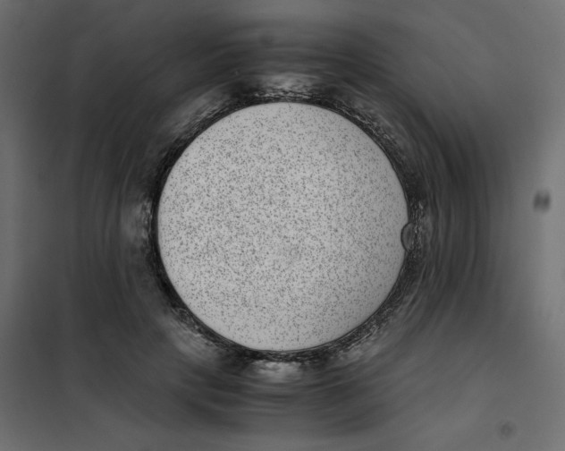 X0000101990649200808081636