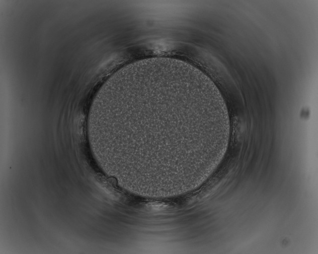 X0000101990650200808081637