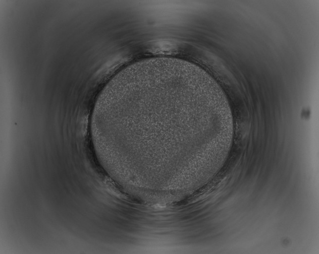 X0000101990652200808081637