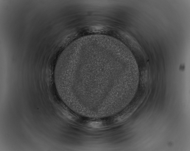 X0000101990653200808081637