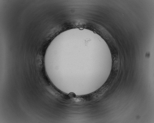 X0000101990654200808081637