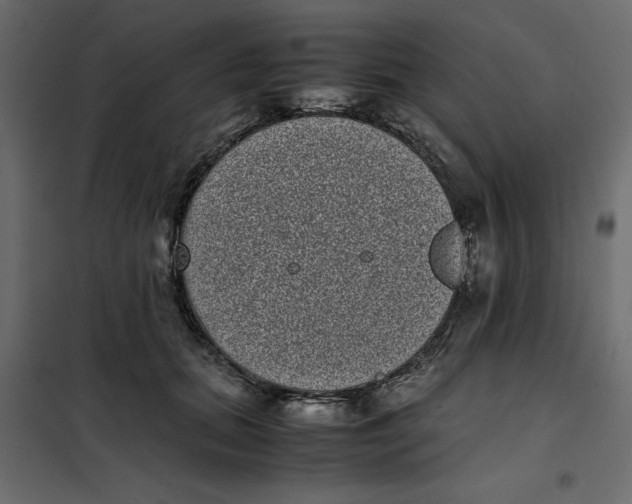 X0000101990655200808081637