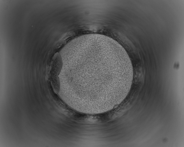 X0000101990656200808081637