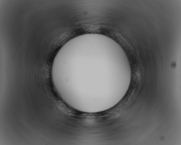 X0000101990658200808081637