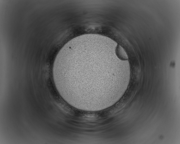 X0000101990659200808081637