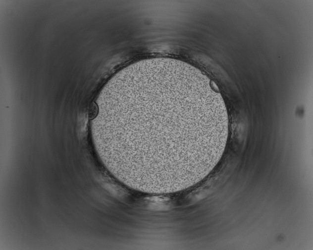 X0000101990660200808081637