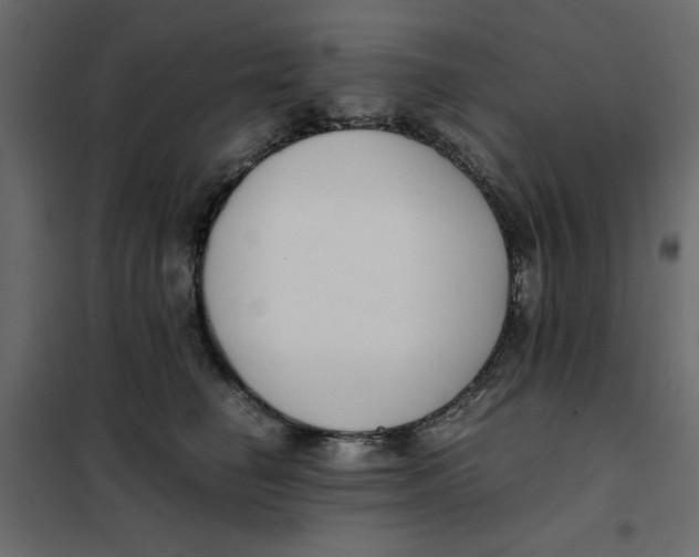 X0000101990662200808081637