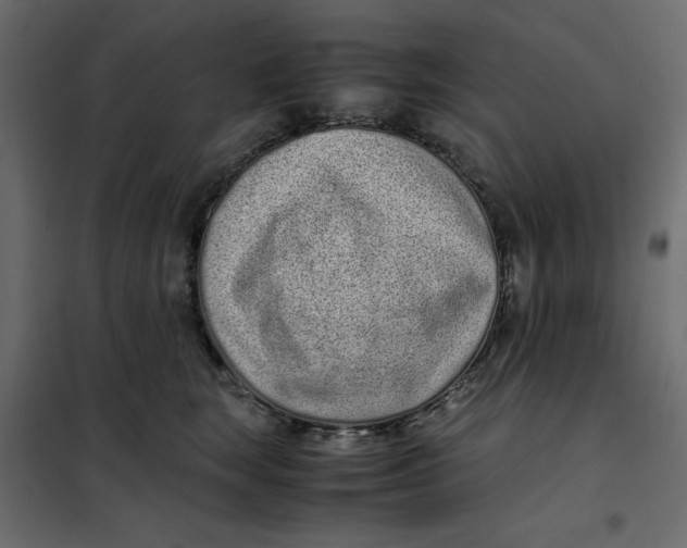 X0000101990663200808081637